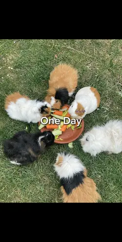 One Day or Day One