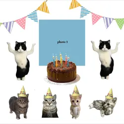 happy birthday cat