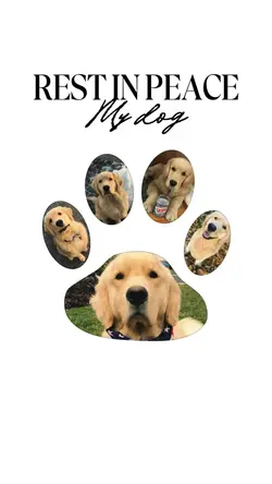 Rest in peace my dog