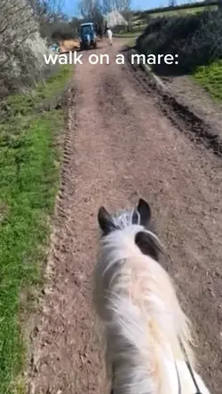 He’s so ✨special✨