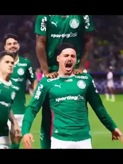 “HOJE TEM PALMEIRAS