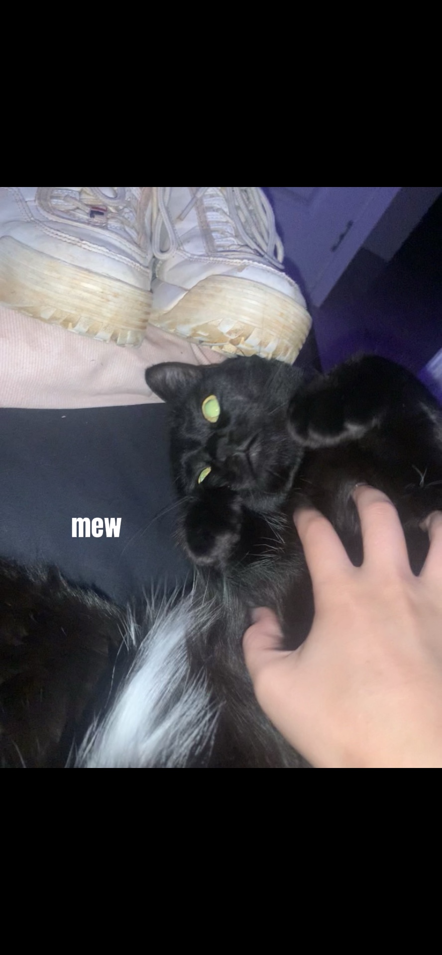 i love my cat. mew