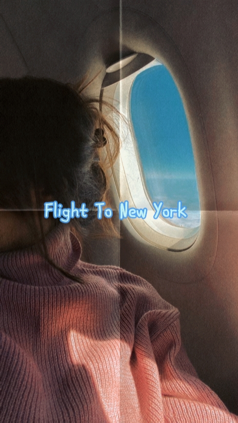 Flight To New York 