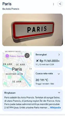 Paris Google Search 