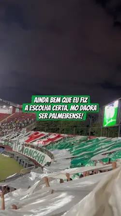 MO DHR SER PALMEIRAS