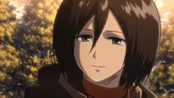 mikasa