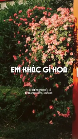 em khác gì hoa