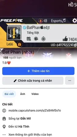 fb+ff