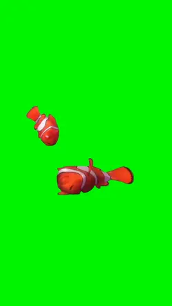 wake up nemo