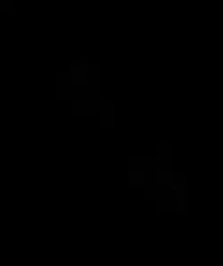 beng