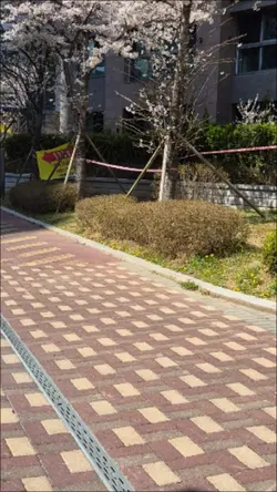 어린이는 지금당장 놀아야 합니다.