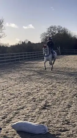 3 day till Christmas