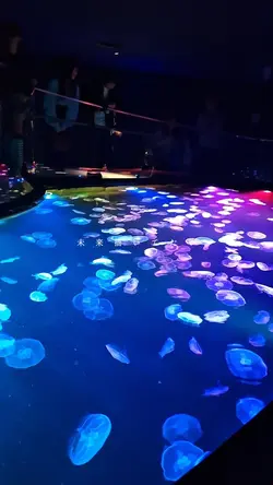Ring/遊助