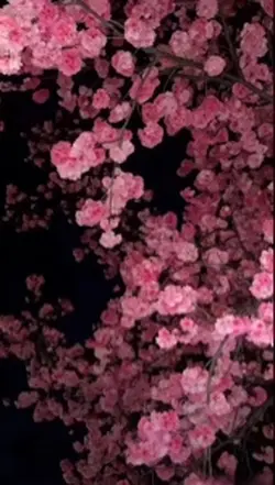 3D live wallpapaer