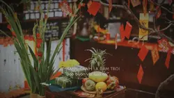 Xuân Sang Cành Lá 