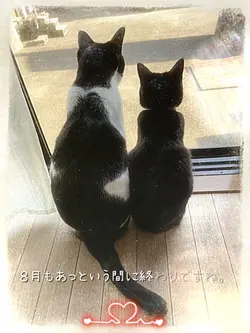 ８月ありがとうございました♪来月も…