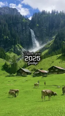 2025 recap