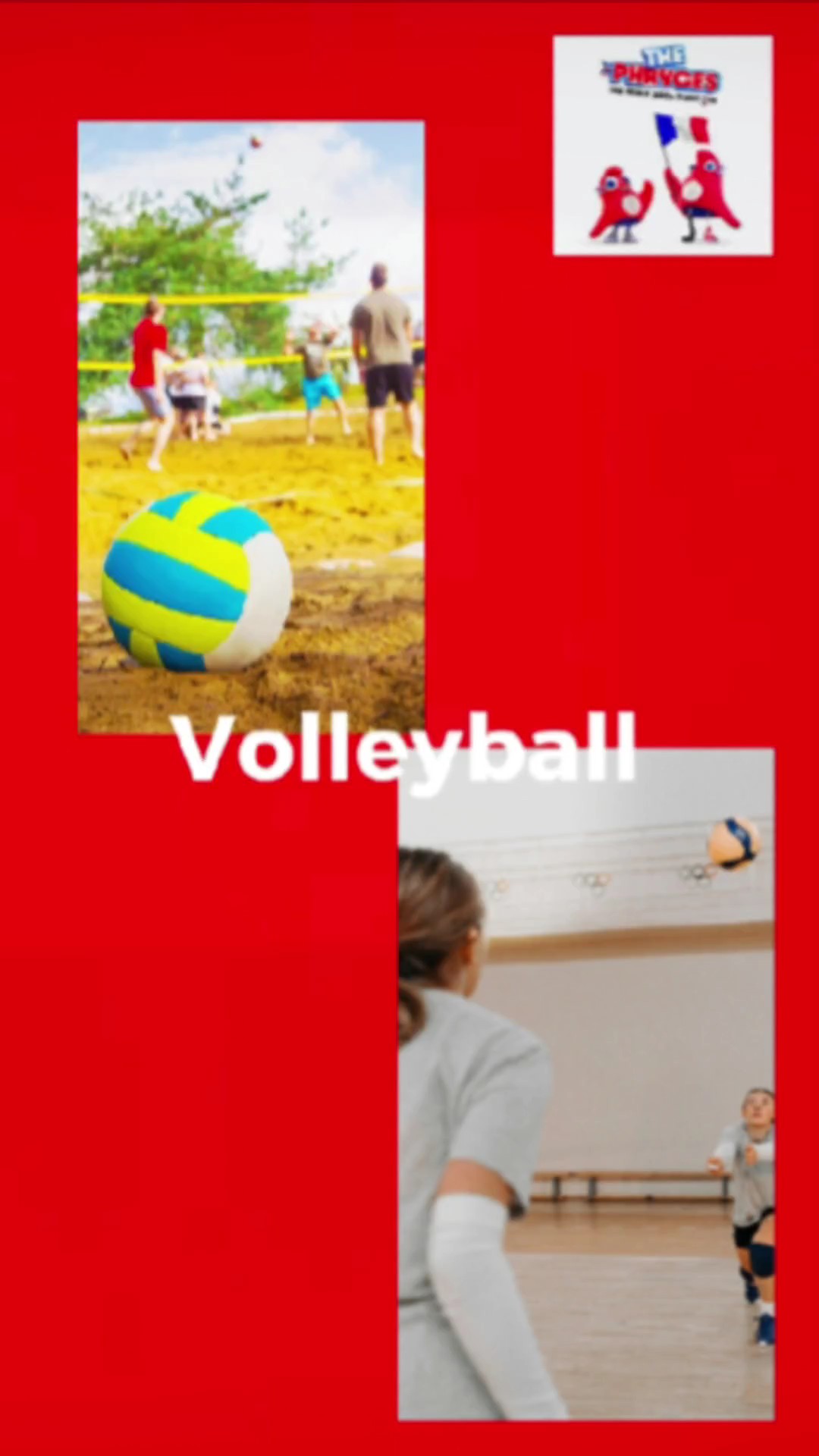 Volleyball
