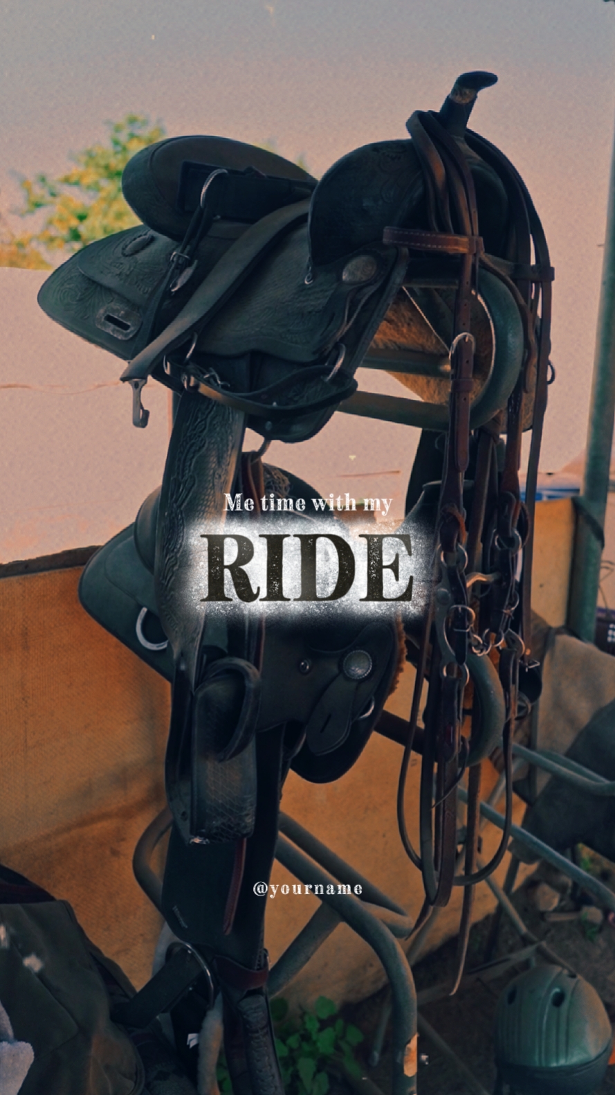 MY HORSE, MY RIDE