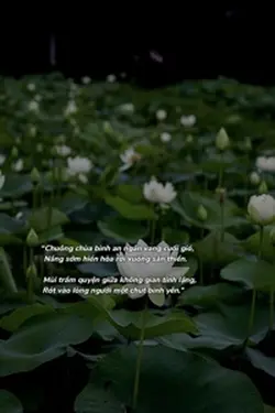 Chuông chùa bình an.