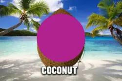 Coconut