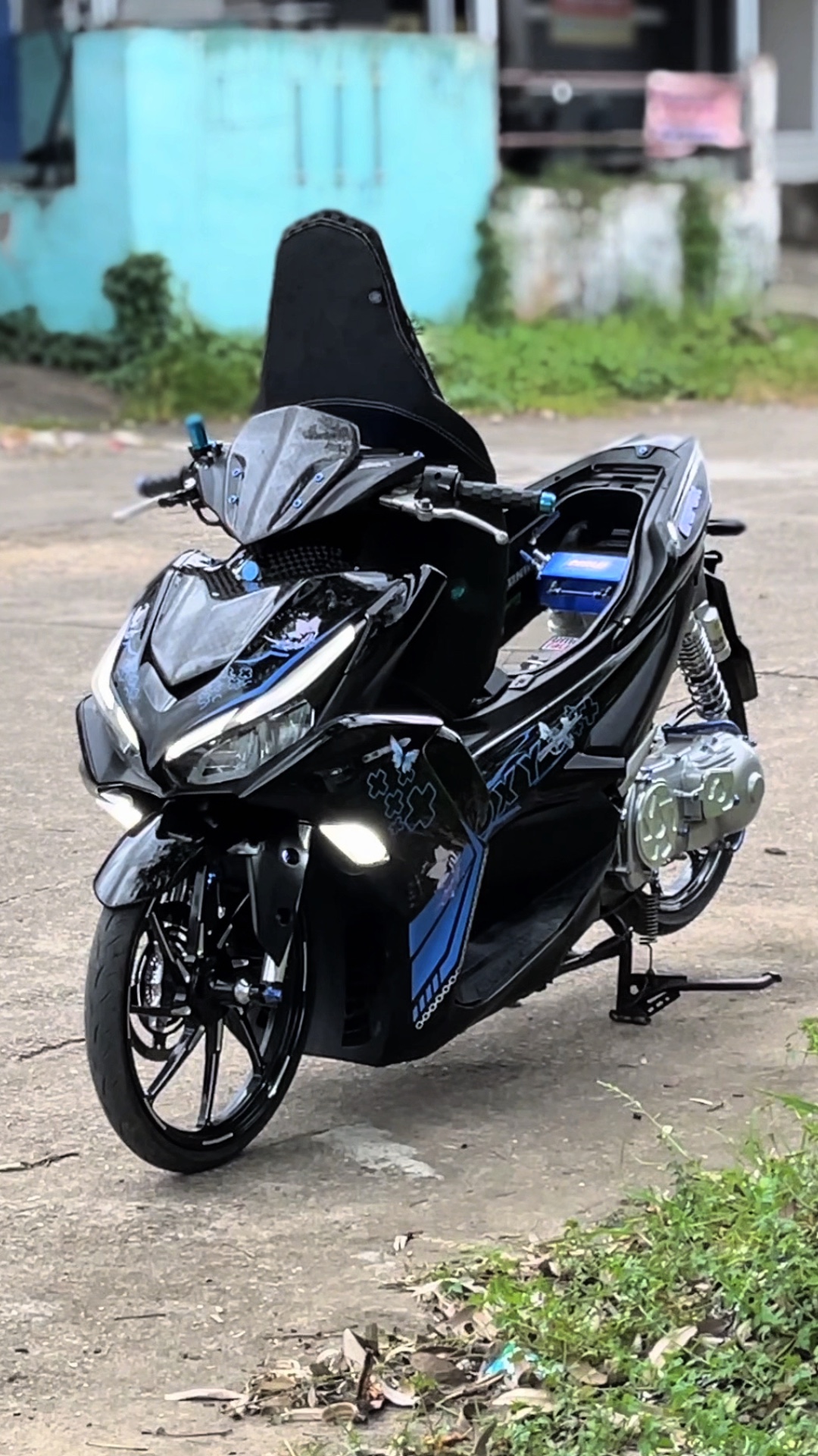 Cover Picture
