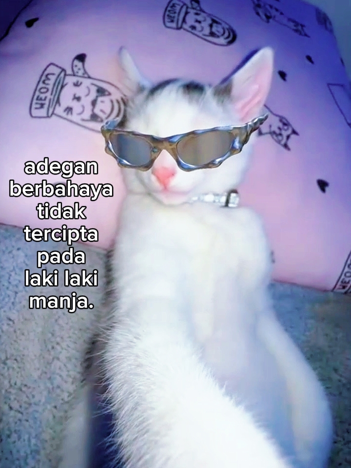 foto siaran langsung kata kata