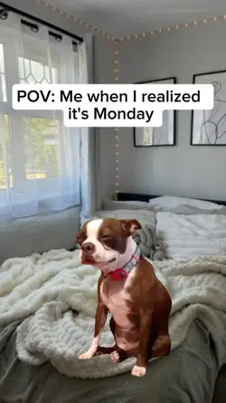 it's monday