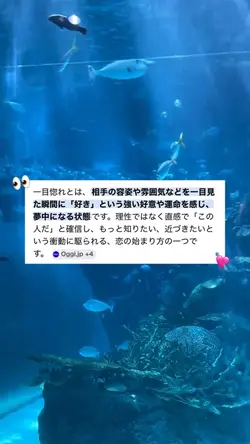 『 一目惚れ 』|なんでもないや