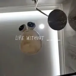 Life without ___