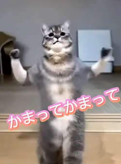 かまってダンス