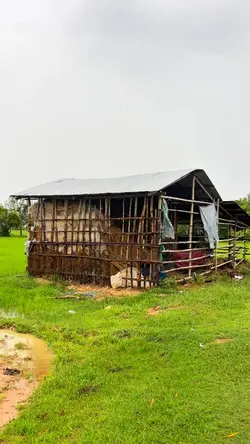 Countryside 