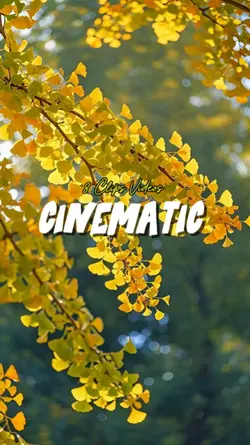 Cinematic 8 Videos