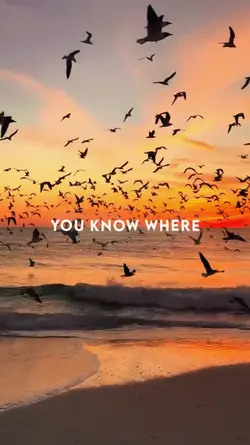 you know where
