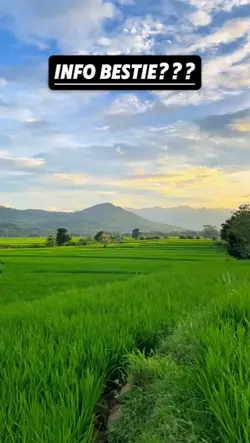 Info BESTie 