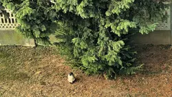 Landscape Photostory