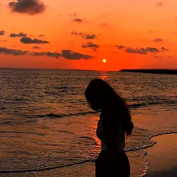filter Senja