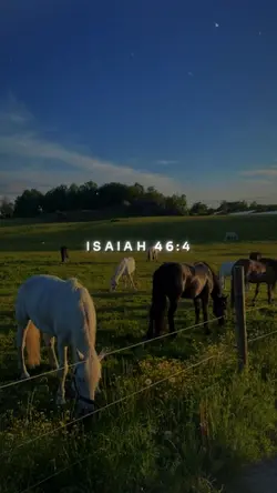 Isaiah 46:4