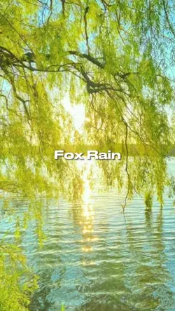Fox Rain