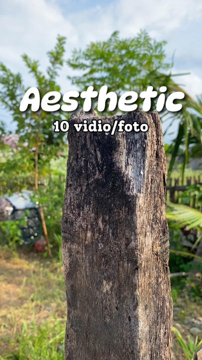 Aesthetic 10 video