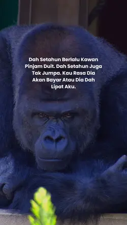 Kau rasa..??