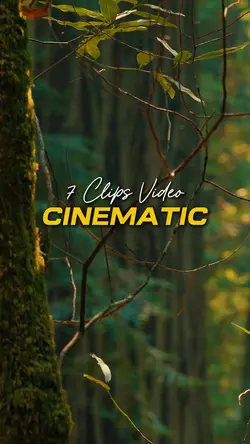 Cinematic 7 Video