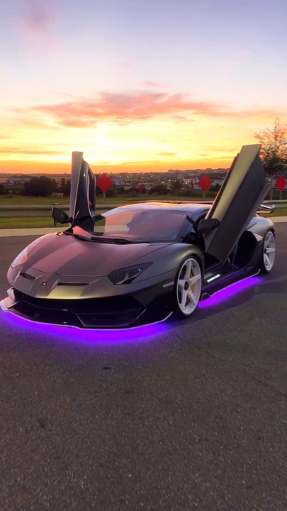 Novo modelo 