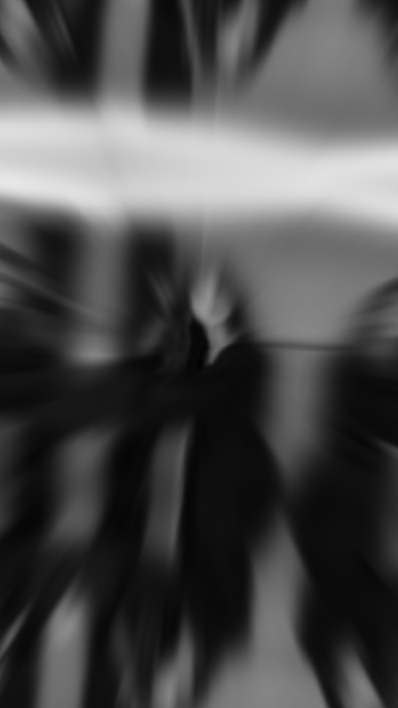 weiß schwarz 