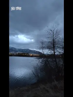 I'd never let you go