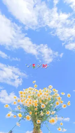 Blue sky