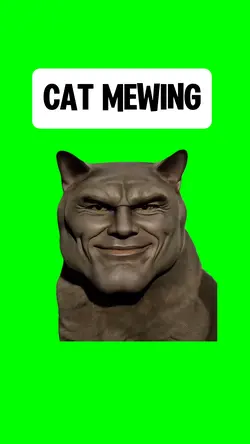 CAT MEWING