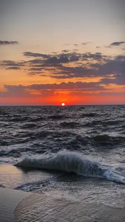 slowmo