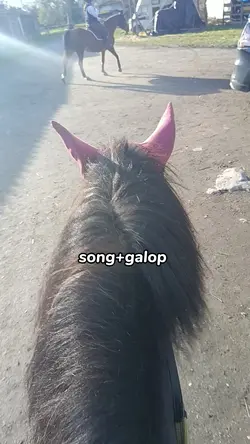 song+galop 