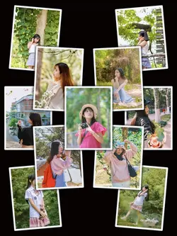 11PicFrame Aesthetic